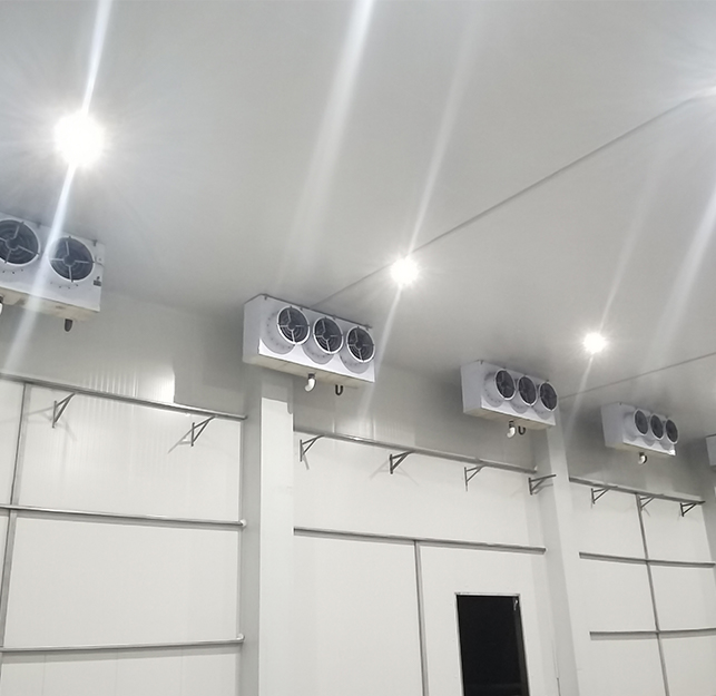 Air Cooler Project For Areca PRAECLUSIO volutpat